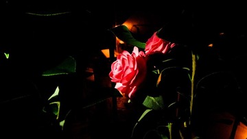 P1080778_副本.jpg