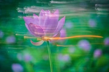 DSC_4047 拷贝
