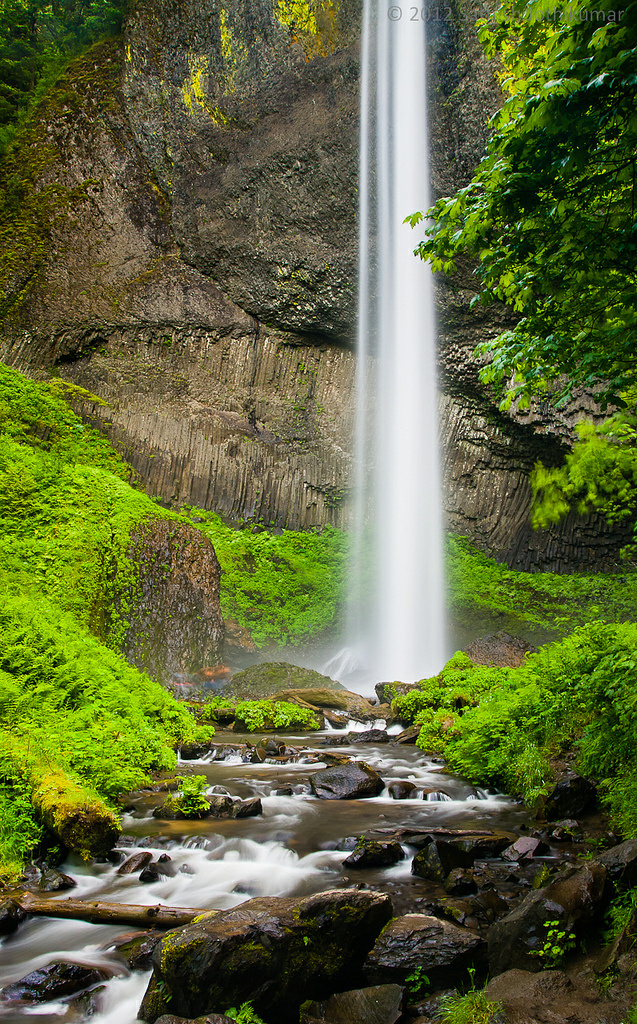 绿是水的颜色是山的颜色它覆盖了整个地球高山流水是清幽之景绿色之致