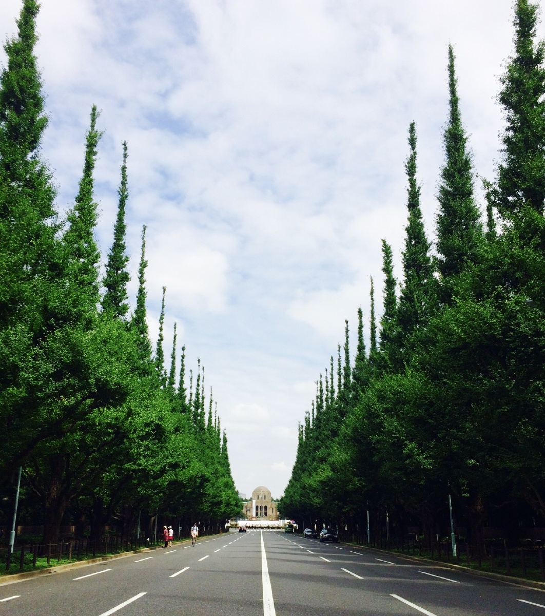 东京青山shakeshack