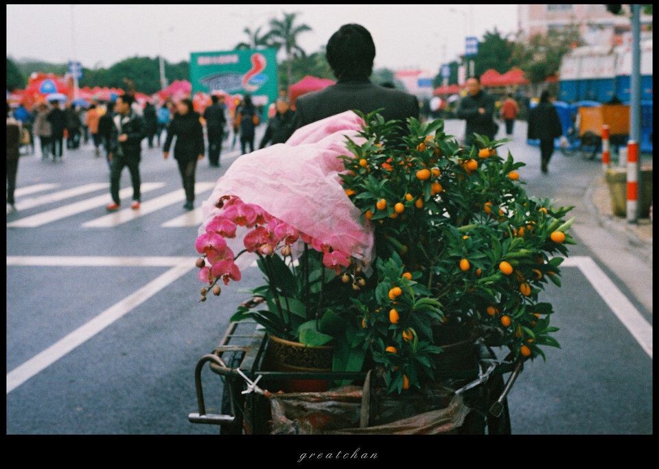 运花人<br />
广东人过年喜欢逛逛花街，凑凑热闹。穿梭于花街中的运花人。