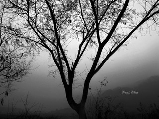 IMG_2186.jpg