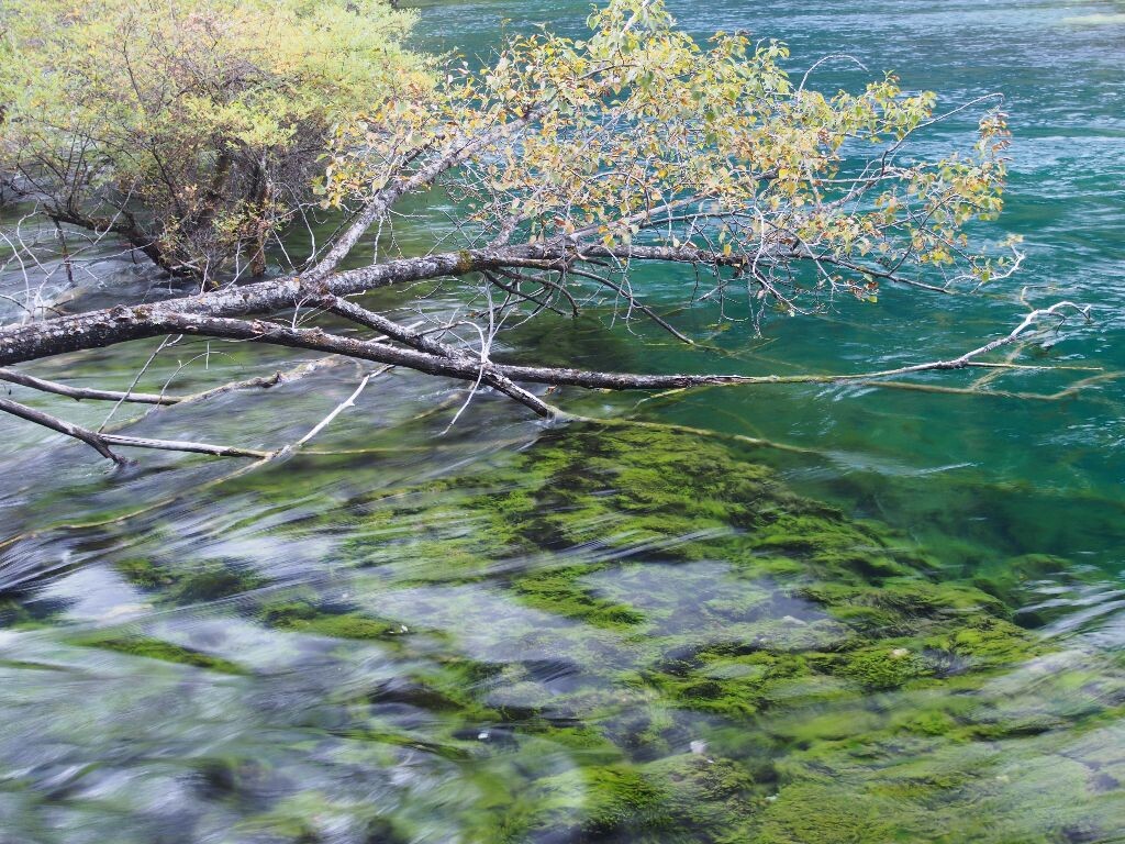 树正沟一景,黄昏时分。