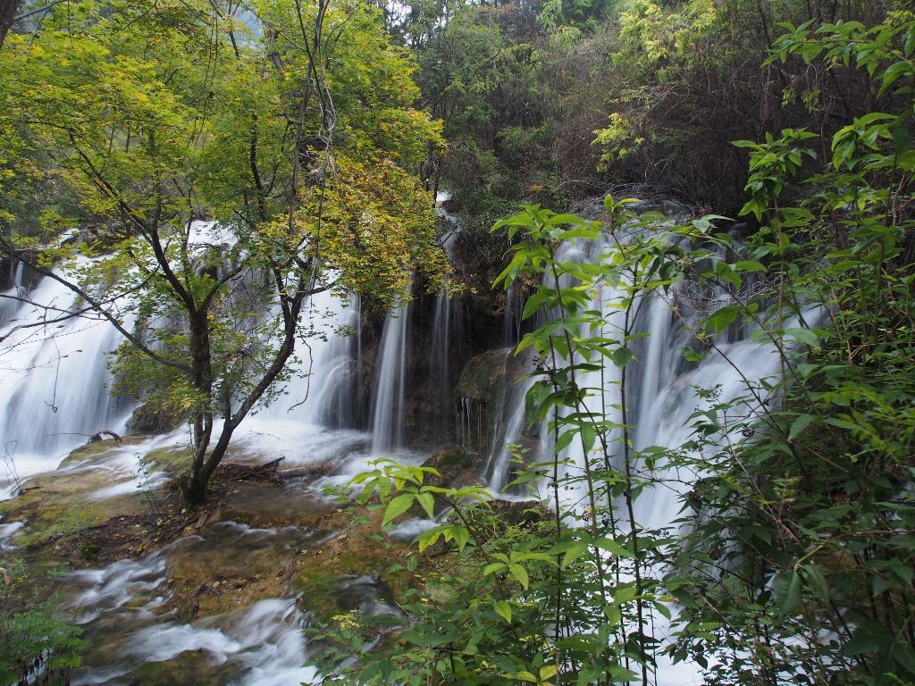 树正沟一景,大大小小的瀑布是很好的点缀。