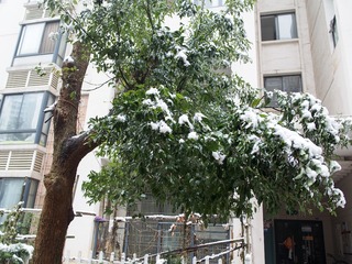 P2010543