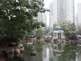 P2010548