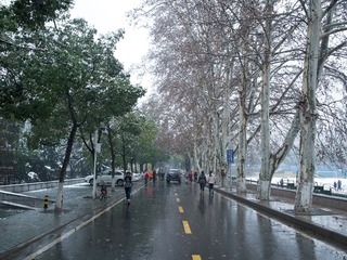 P2010553
