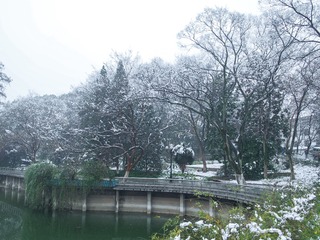 P2010556