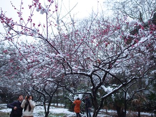 P2010565