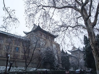 P2010570