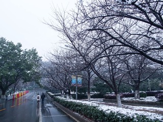 P2010587