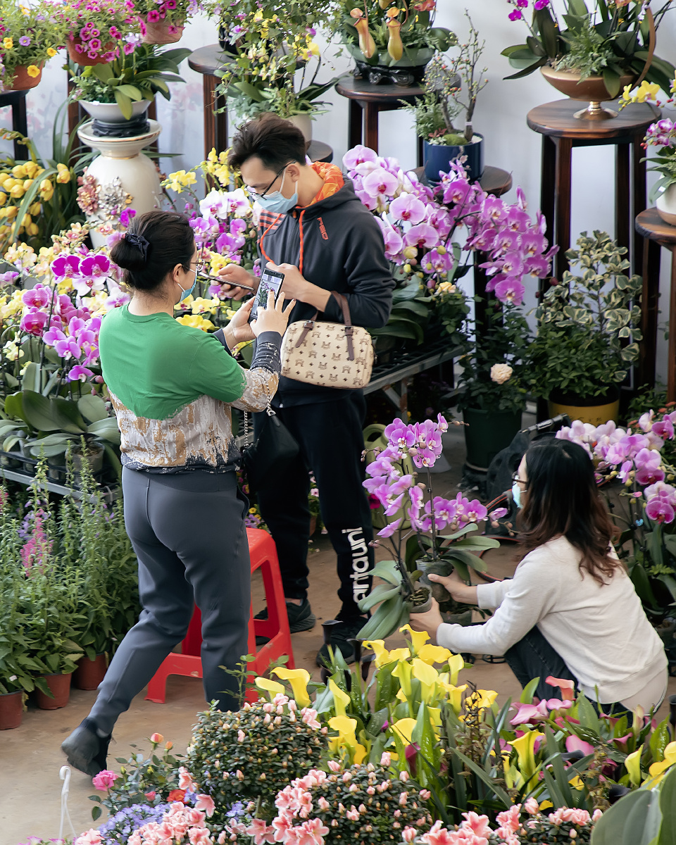 2021年2月4日拍摄于广东顺德陈村