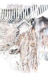 DSC_0309.jpg