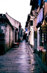 DSC_2378.jpg