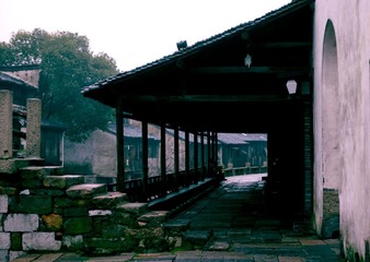 DSC_1831.jpg