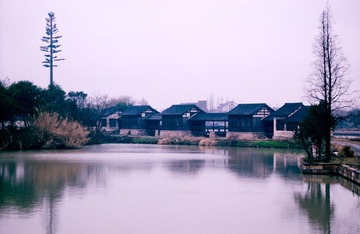 DSC_2132.jpg