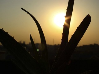2011 12 10 家 (10 - 11).jpg