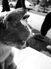 2012 1 9 (2 - 4).jpg