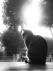 2012 1 10 (2 - 5).jpg