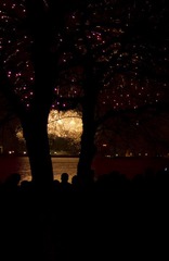 2012 1 23 (13 - 9).jpg