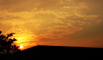 IMG_6360.JPG