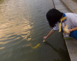 2012六月IMG_6493.jpg