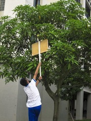 2012七月IMG_0145.jpg