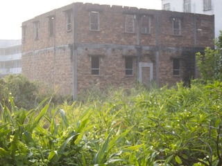 2012七月IMG_0538.jpg