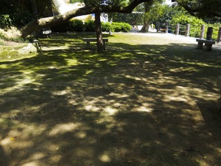 2012七月IMG_0589.jpg
