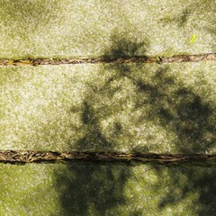 2012七月IMG_0592.jpg