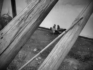 C360_2012-07-31 18-56-42.jpg
