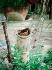 2012八月IMG_0388.jpg