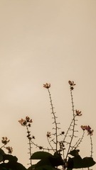2012八月IMG_0404.jpg