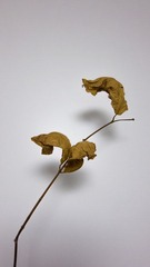 2012八月IMG_0420.jpg