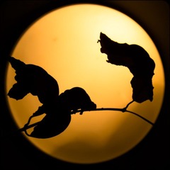2012八月IMG_0417.jpg