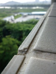 DSC00106.JPG
