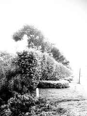 2012九月IMG_2123.jpg