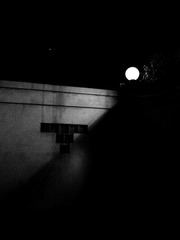 2012十月IMG_2522.jpg