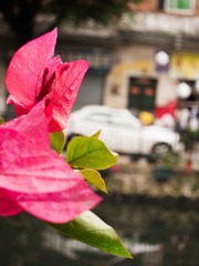 2012十月IMG_2585-编辑.jpg