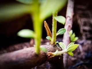 2012十一月IMG_0109-编辑.jpg