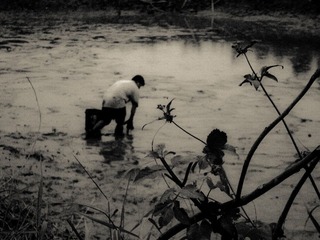 2012十一月IMG_0126.jpg
