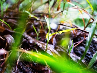 2012十一月IMG_0161-编辑.jpg