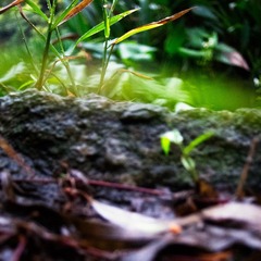 2012十一月IMG_0168-编辑.jpg