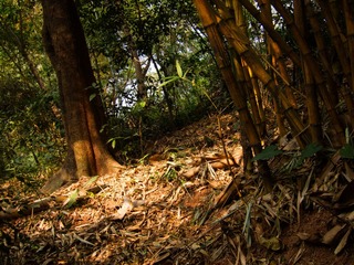 2013一月IMG_0015-编辑.jpg