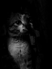 2013三月IMG_0002.jpg