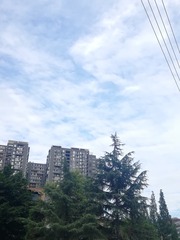 99884