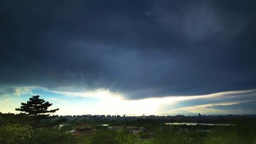 _XLB9874