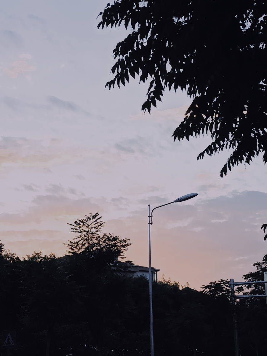 夏天的晚风最能抚慰人心.