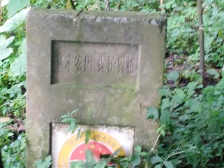 185749