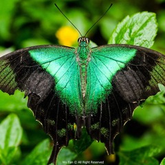 DSC_9336.jpg